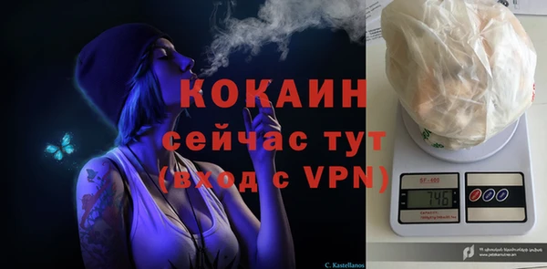 крисы Абаза