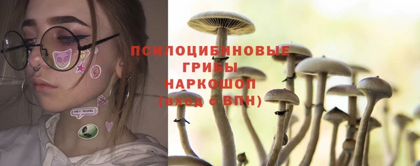 крисы Абаза