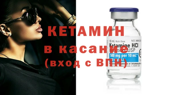 крисы Абаза