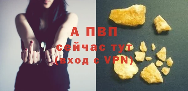 крисы Абаза