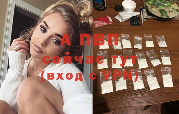 крисы Абаза