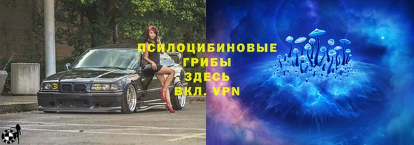 крисы Абаза