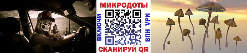 купить цена Ярославль omg Псилоцибиновые грибы Psilocybe